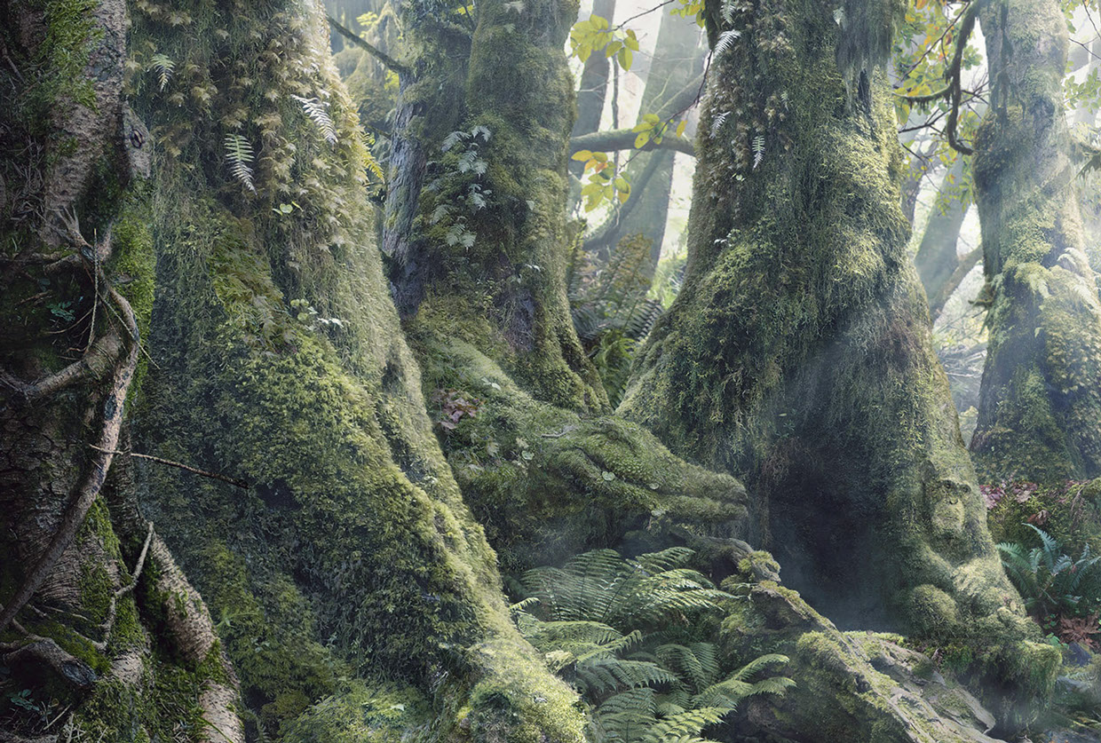 WWF - Botanimal Project by Anais Boileau